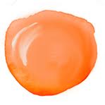 Salmon / Cantaloupe / Apricot